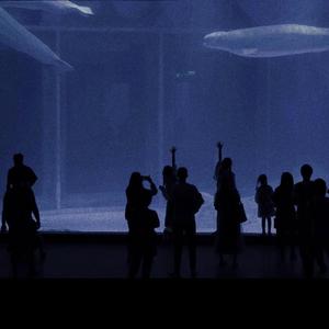 暧暧视频在线免费观看
